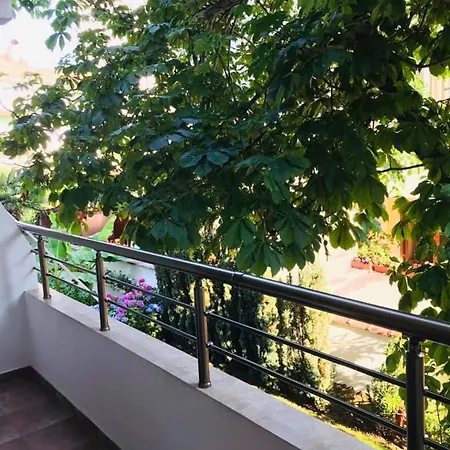 джорджия 招待所