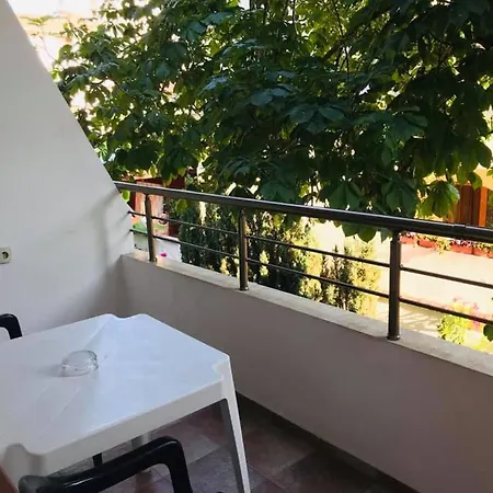 джорджия 招待所