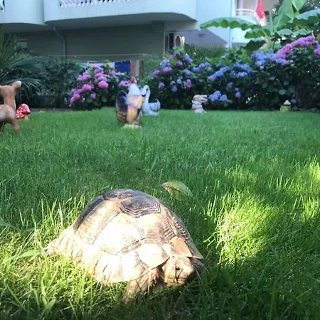 招待所 джорджия 3*