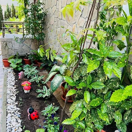 джорджия 3* 希典