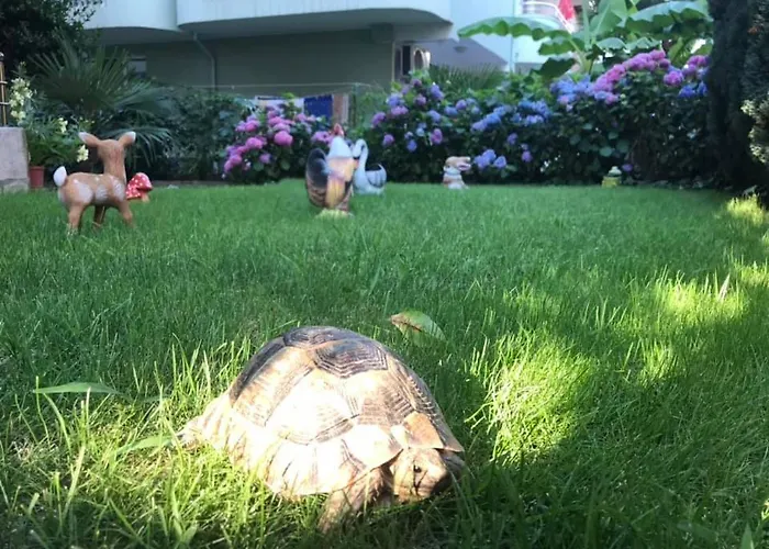 Maison d'hôtes джорджия 3*