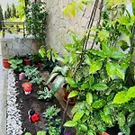 джорджия 3* Kiten (Burgas)