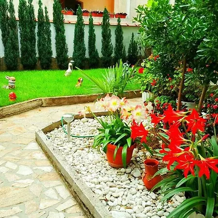 Guest house джорджия 3*